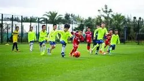 立博体育 产品 085101 2l2